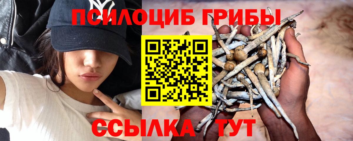 Советск  даркнет сайт  Вход с VPN  Псилоцибиновые грибы Psilocybine cubensis 